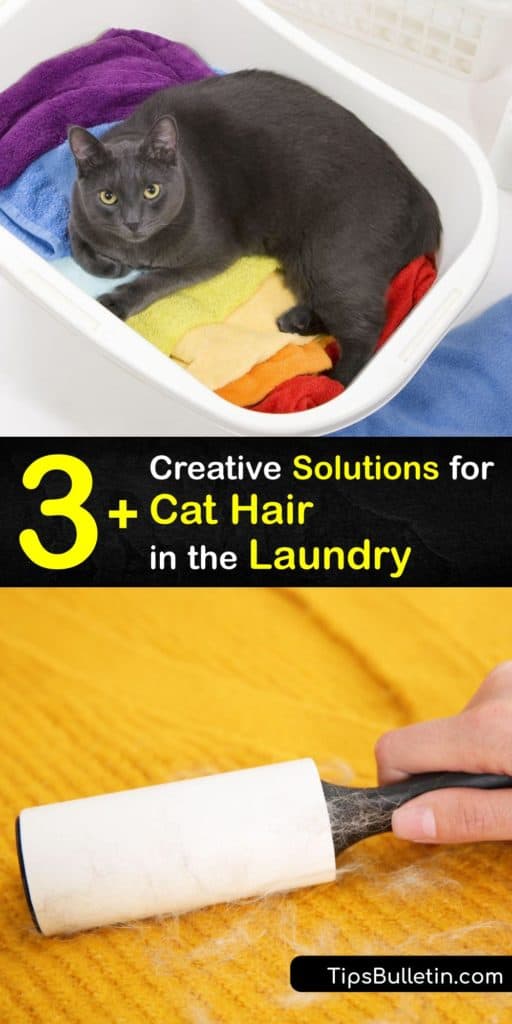 Learn how to use a dryer lint trap, dryer sheets, and dryer balls to defeat cat hair in the washing machine forever. Gone are the days of only relying on a lint roller. Discover new tips to prolong the life of your washing machine and keep your clothes looking hair-free. #remove #cat #hair #laundry