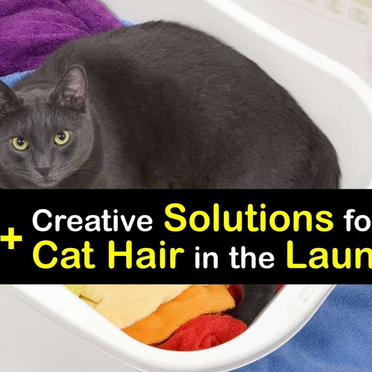 How to Get Cat Hair Out of the Laundry