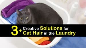 How to Get Cat Hair Out of the Laundry titleimg1