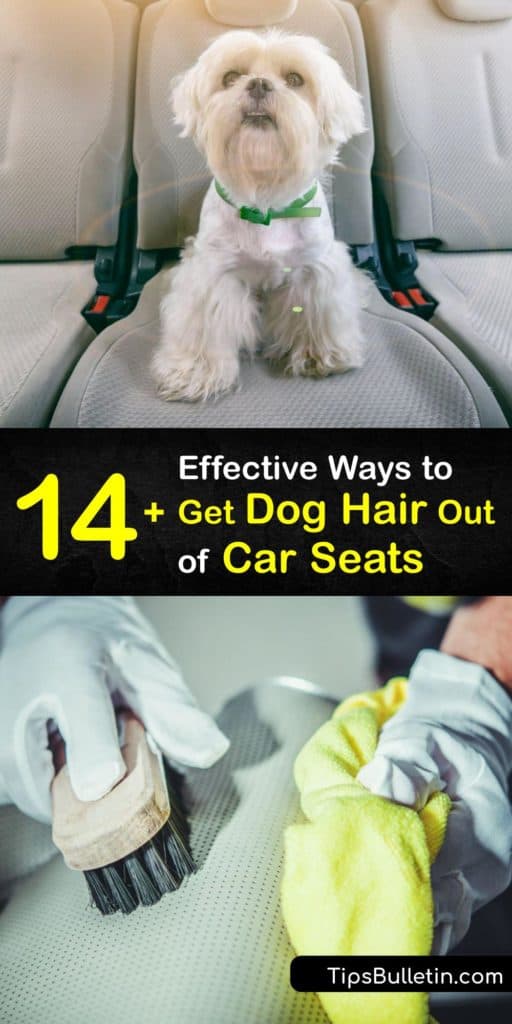 Learn easy ways to remove dog hair from car upholstery. Discover how to use a vacuum cleaner, rubber glove, Velcro curler, duct tape, fabric softener, a pumice stone, and other everyday items to remove loose hair from upholstery. #howto #remove #dog #hair #car #seats