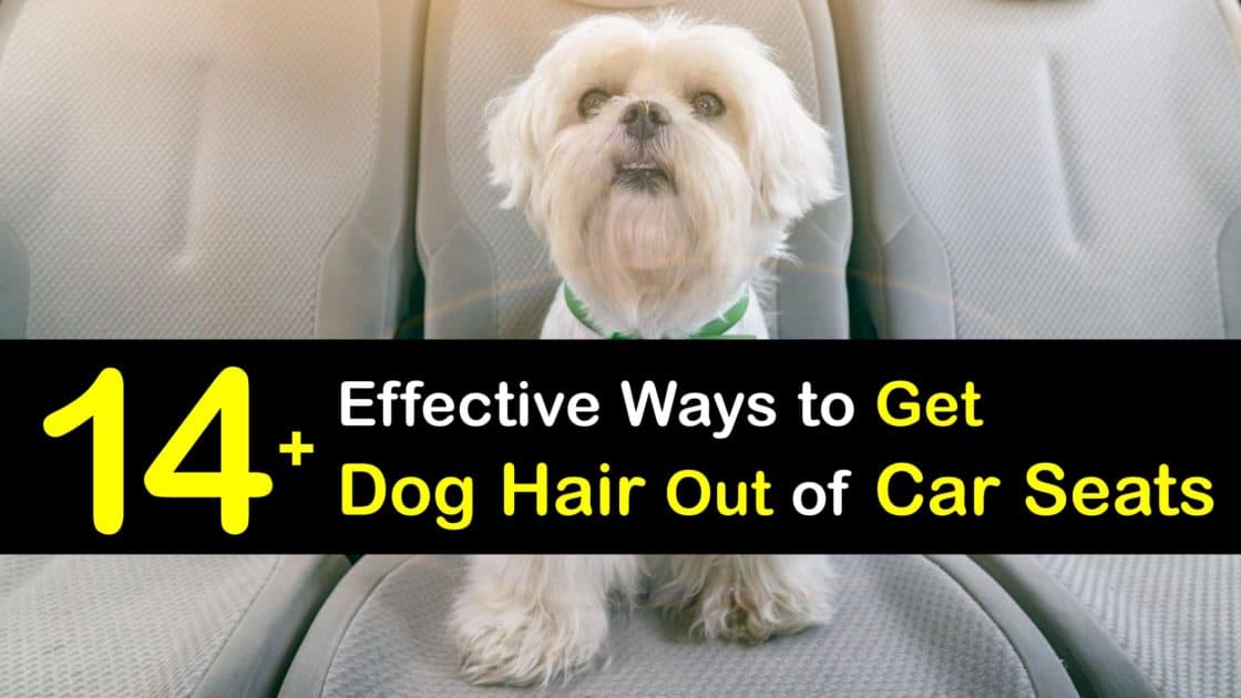 Get Rid Of Dog Hair On Car Seats Removing Fur From Upholstery - Dog Hair On Car Seats