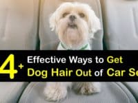How to Get Dog Hair Out of Car Seats titleimg1