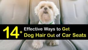 How to Get Dog Hair Out of Car Seats titleimg1