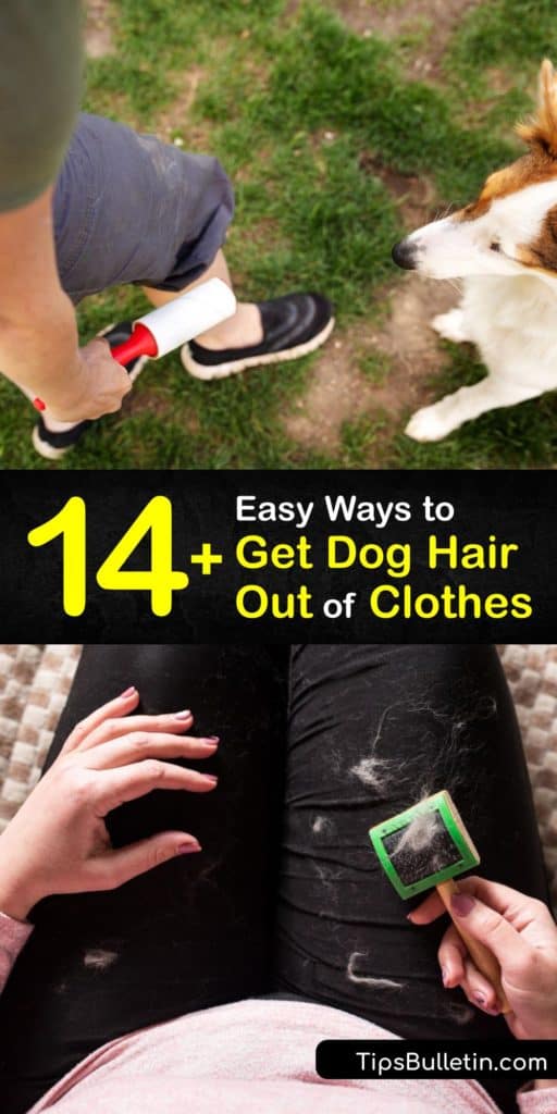 Sometimes keeping your clothes away from your pet just isn't enough to keep loose hair from clinging to your wardrobe. Discover ingenious ways to remove unwanted pet hair using a dryer sheet, rubber glove, and a washing machine. #pet #dog #hair #clothes #remove