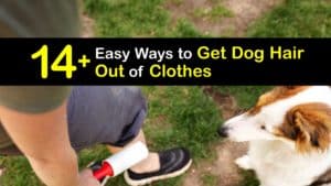 How to Get Dog Hair Out of Clothes titleimg1