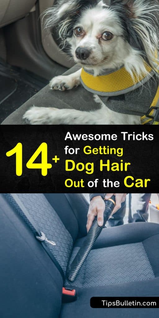 Using common items like duct tape, Velcro curlers, and a pumice stone, find out how to get rid of dog and cat hair in your car. Make pet hair removal easy and fun with our trick involving static electricity and balloons. #dog #hair #car #remove