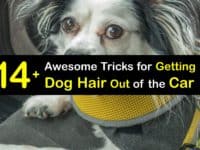 How to Get Dog Hair Out of the Car titleimg1