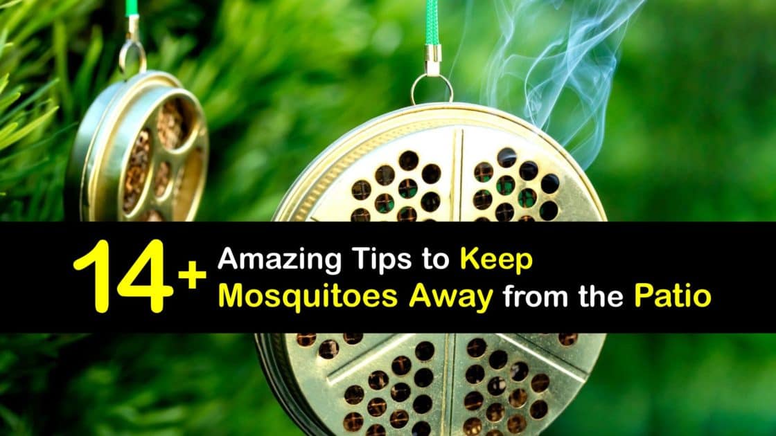 Keeping Mosquitoes Away from the Patio Repel Mosquitoes for Good