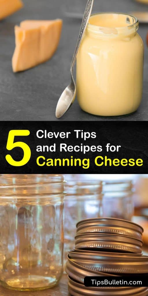 Learn how to can cheese using a water bath canner and pressure canner to keep your pantry stocked with cheese and cheese sauce for years.