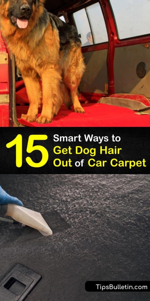 Learn how to remove loose hair from your car upholstery and carpet using a lint roller, duct tape, rubber glove, lint brush, Velcro curlers, or fabric softener solution and more. Select an easy DIY method and get dog hair out of your car fast. #dog #hair #remove #car #carpet