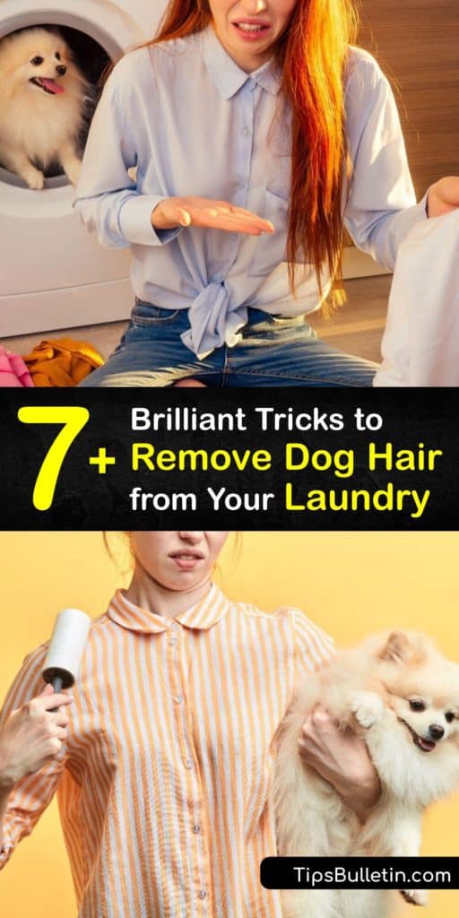 Discover easy ways to tackle pet hair on your clothes and laundry by using common items like dryer balls and dryer sheets. Remove hair before your clothes get into the washing machine with a lint roller to avoid cat hair in your laundry. #dog #hair #laundry #remove