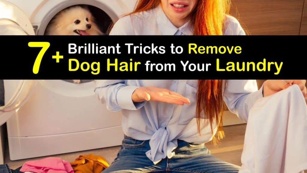 How to Get Dog Hair Out of the Laundry titleimg1