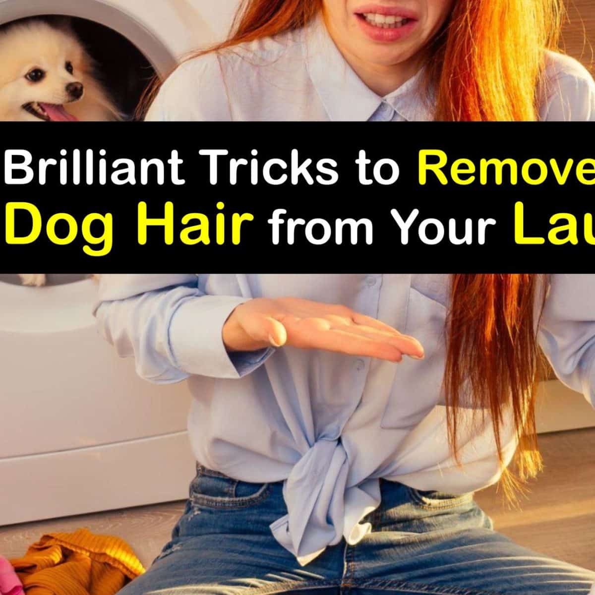How Do I Get Rid Of Dog Hair In My Laundry