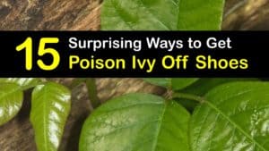 How to Get Poison Ivy Off Shoes titleimg1