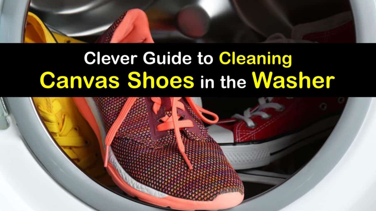 Can you put canvas on sale shoes in the dryer