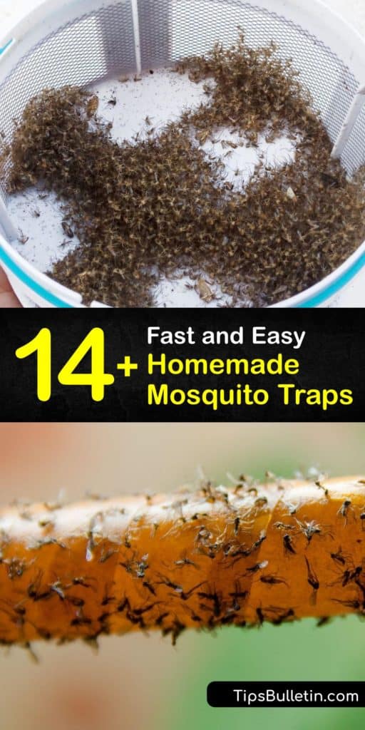 Learn how to make a homemade mosquito trap and prevent mosquito bites. Mosquitoes are easy to trap with a plastic bottle and carbon dioxide bait, a fly trap, and other trapping methods, and they are safer than using a commercial mosquito repellent. #homemade #mosquito #trap