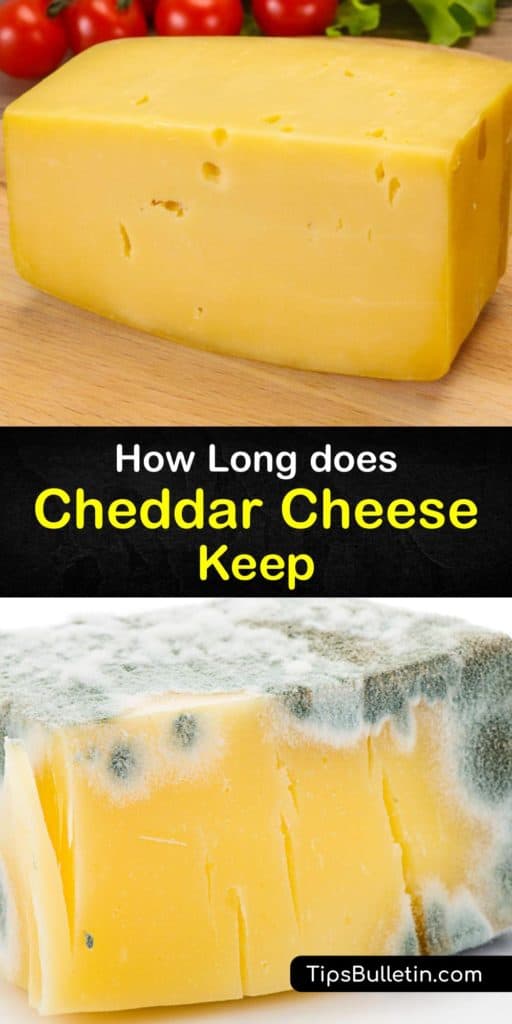 Learn how long does different cheese last and how to store them to extend their shelf life. Discover tips for mozzarella, Romano, cream cheese, Gouda, gruyere, feta, soft cheeses and more. #cheddar #cheese #last