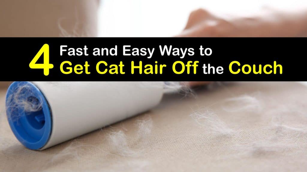 How to Get Cat Hair Off the Couch titleimg1
