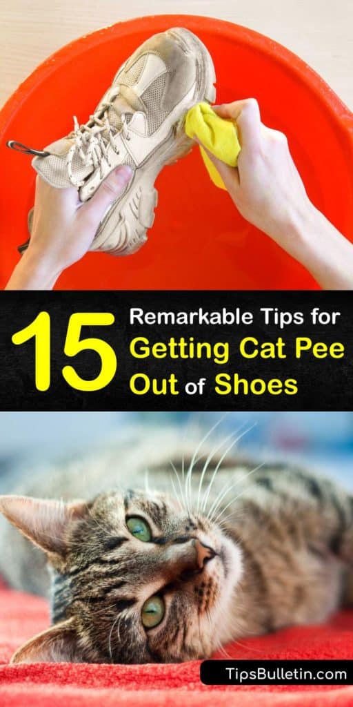 Get rid of the cat urine smell or a urine stain when your cat doesn’t use the litter box and has an accident in your shoes. Use white vinegar, rubbing alcohol, baking soda and a paper towel to quickly remove the foul odor and restore your shoes to smelling great. #cat #pee #shoe #remove