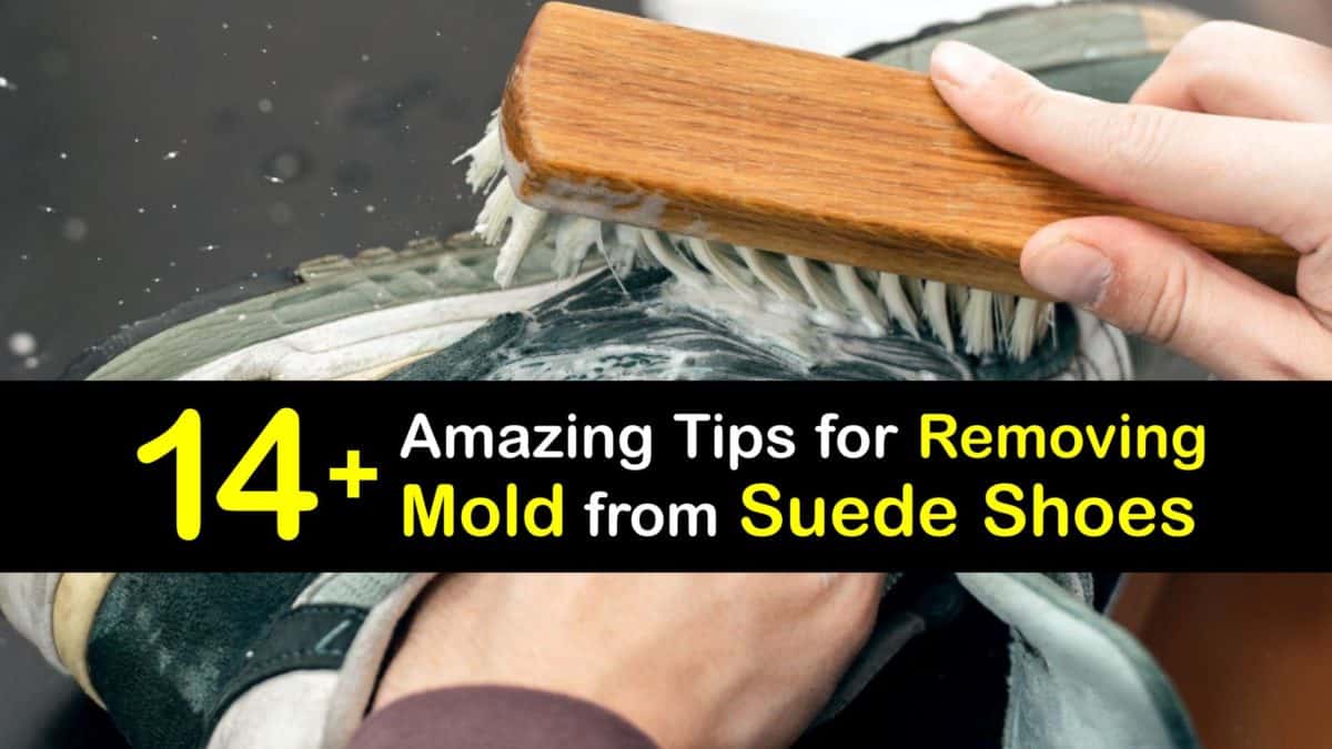 remove grease from suede shoes