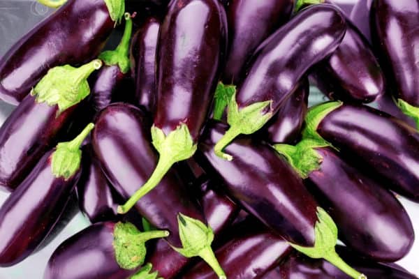 Eggplant likes the hot weather of summer.