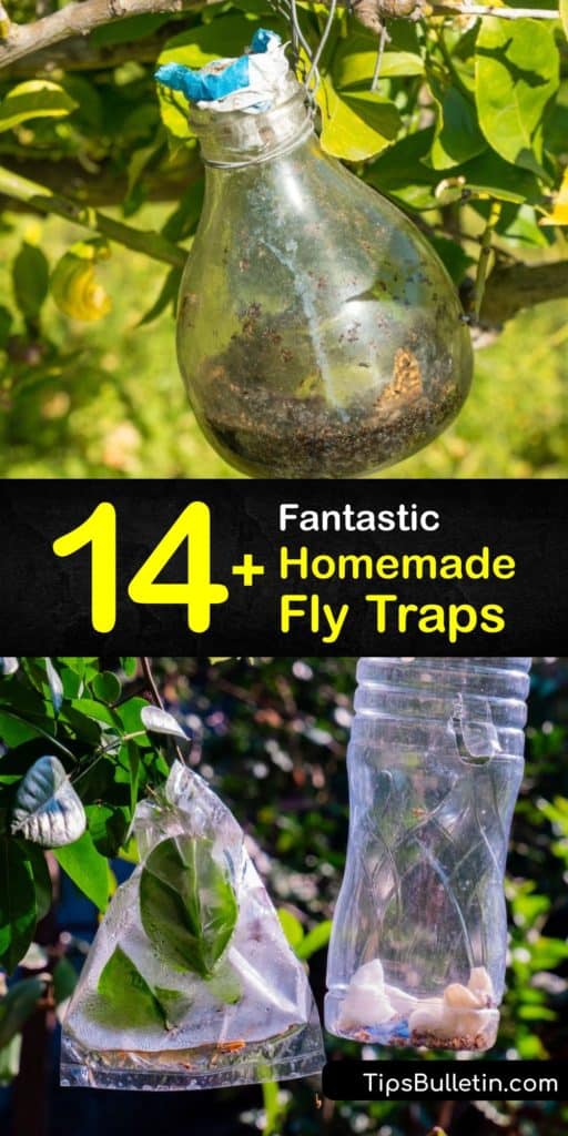Explore DIY fly trap and fruit fly trap ideas that can be made at home. Craft a homemade fly trap using apple cider vinegar, dish soap, plastic wrap and more to get rid of fruit flies, gnats and house flies for good. #homemade #fly #traps
