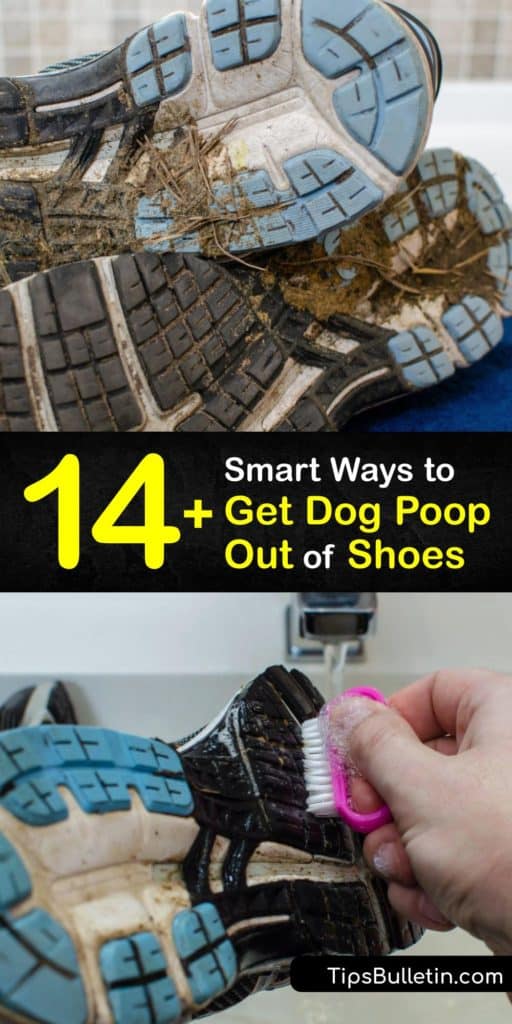 Learn ways to clean dog poop off shoes. Stepping into dog poo is an unexpected and unpleasant experience. However, it’s easy to remove the pet waste, feces stains, and bad smells with white vinegar, baking soda, an old toothbrush, and a paper towel. #howto #remove dog #poop #shoes