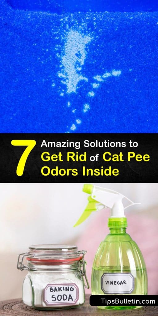 Learn how to get rid of a cat pee smell by carpet cleaning with enzymatic cleaners and an odor remover. Eliminate cat urine odor by cleaning the litter box but different methods are necessary to clean a urine stain and smell from carpets and floors. #howto #getridof #cat #urine #odor #house