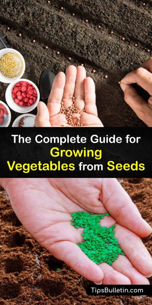 Find everything you need to know to get started planting vegetable seeds. Learn about soil quality and the method behind hardening off and making the most of the growing season. To grow veggies indoors, learn about the importance of grow lights. #vegetable #seeds #growing 