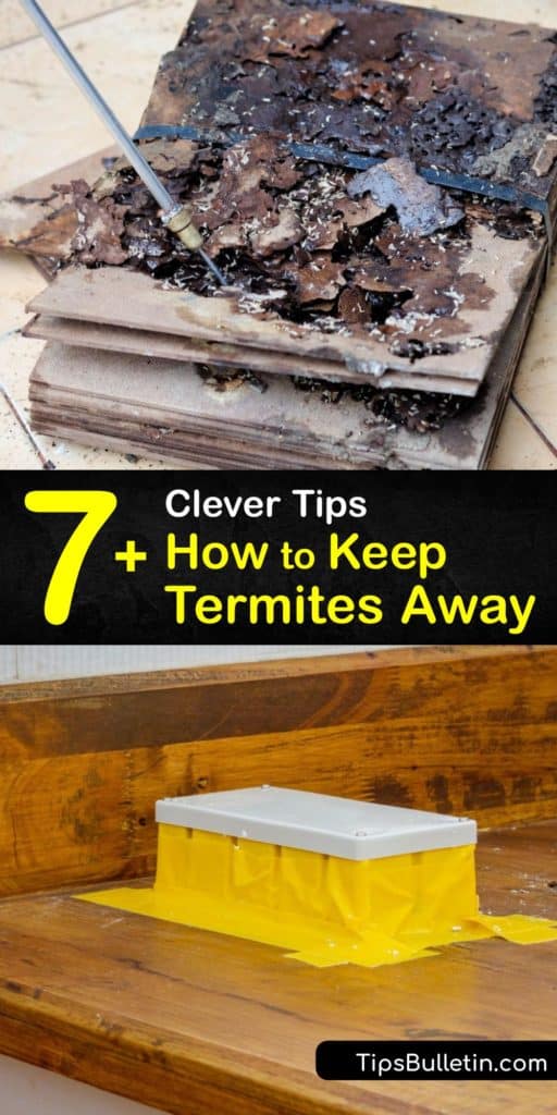Learn how to keep termites away from your home and prevent a termite infestation. Subterranean termites and drywood termites cause damage to trees and wood structures, and it’s essential to take termite prevention steps to stop this termite damage. #howto #prevent #termites 