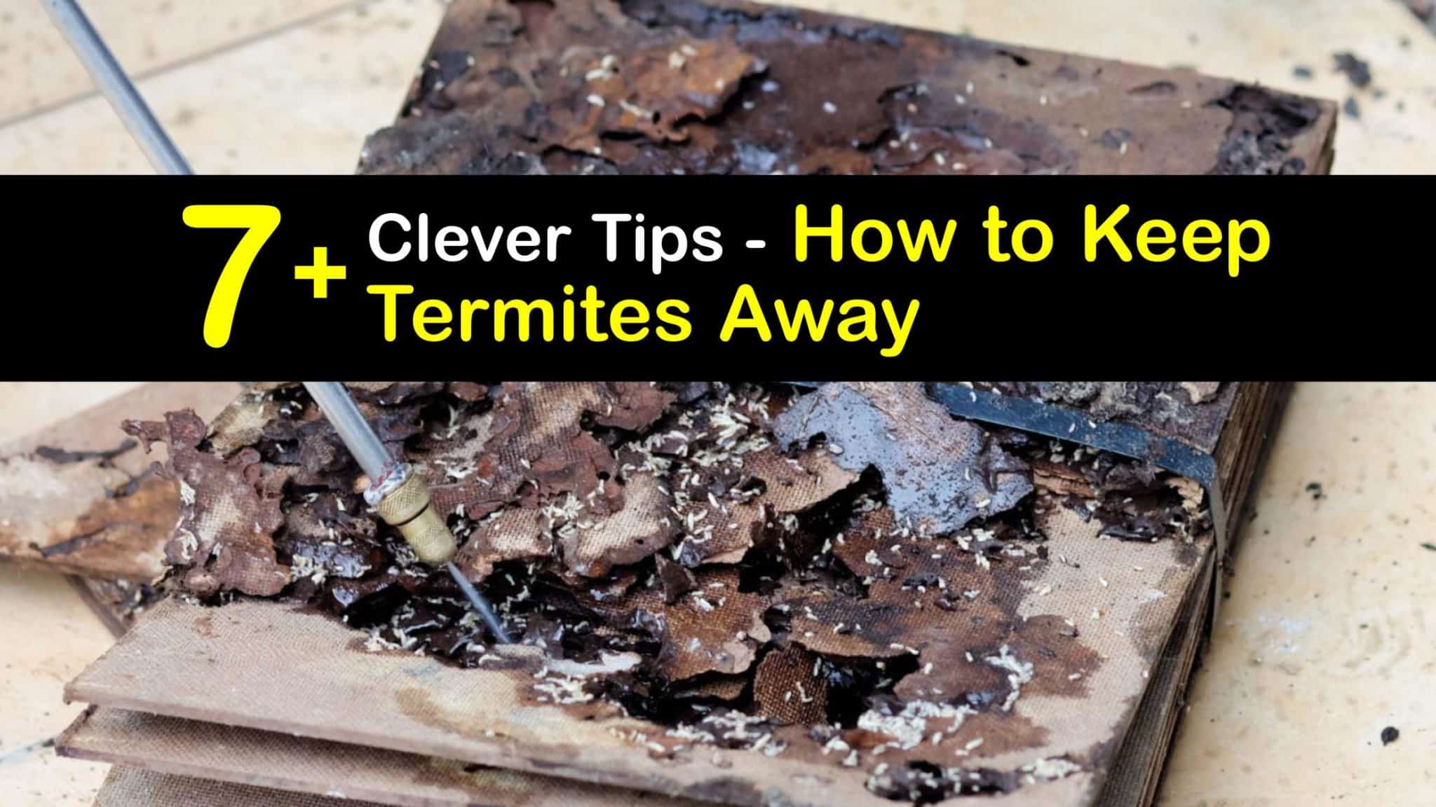 Keeping Termites Away - Fast Tips to Get Rid of Termites