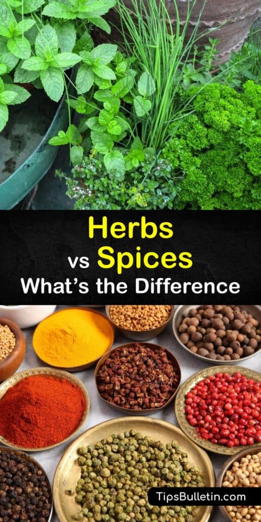 Discover the differences between herbs and spices and their many uses. Herbs like bay leaf, basil, and cilantro are the fresh leafy part of the plant, while cumin, cardamom, and turmeric are the dried and ground part of the plant. #herbs #spices
