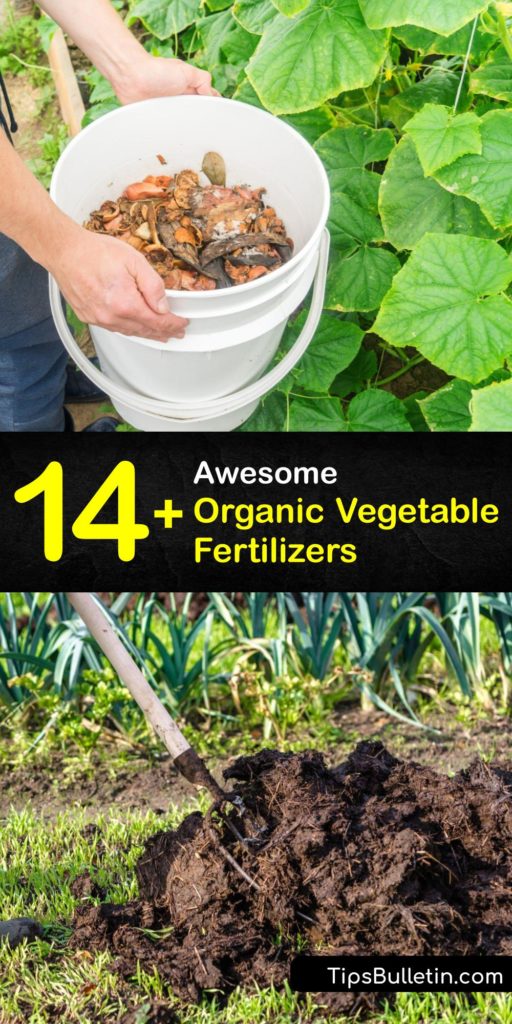 Discover the perfect homemade fertilizer recipe and treat your veggie patch with the best organic fertilizer granules or liquid fertilizer. Enrich your garden soil with a DIY plant fertilizer like coffee grounds, Epsom salt, compost, weed tea, and more. #homemade #fertilizer #vegetables