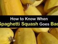 How Long is Spaghetti Squash Good for titleimg1