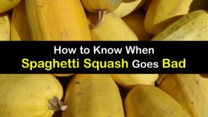 How Long is Spaghetti Squash Good for titleimg1