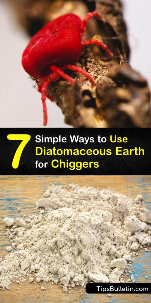 Chigger mites leave painful chigger bites, and like bed bugs, require immediate intervention. Kill chiggers in tall grass with DE or sulfur powder and avoid a bite. Achieve bed bug control and chigger control with diatomaceous earth. #diatomaceous #earth #chiggers