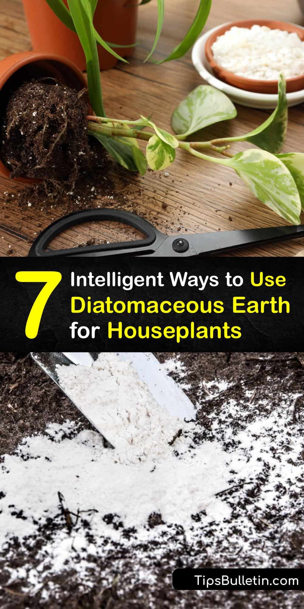 Using DE on Houseplants Diatomaceous Earth for Indoor Plants