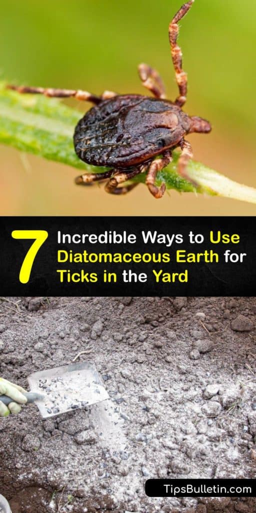 Learn how to use diatomaceous earth powder for flea control and tick prevention. A tick infestation is horrible for both you and your pets, and food grade diatomaceous earth is a natural form of pest control that is safe to use in the yard. #diatomaceous #earth #ticks #yard