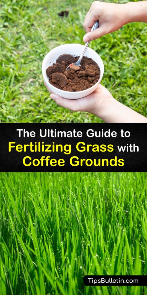 Are coffee grounds good lawn fertilizer? Discover how to add organic material like spent coffee grounds to your compost pile to promote soil health and vigorous growth. Make your kitchen waste work for you with these eco-friendly, organic fertilizer tips. #coffee #grounds #grass #fertilizer