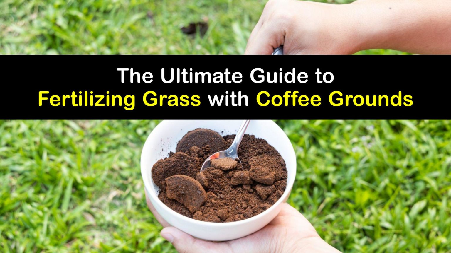 Fertilize Grass with Coffee Grounds DIY Coffee Grounds Fertilizer