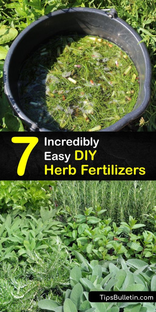 Are you curious about the best organic fertilizer and how a homemade fertilizer recipe can optimize your plant soil? Discover how to make and apply organic liquid fertilizer and pick up some tips for effective composting with coffee grounds and other kitchen waste. #homemade #herb #fertilizer