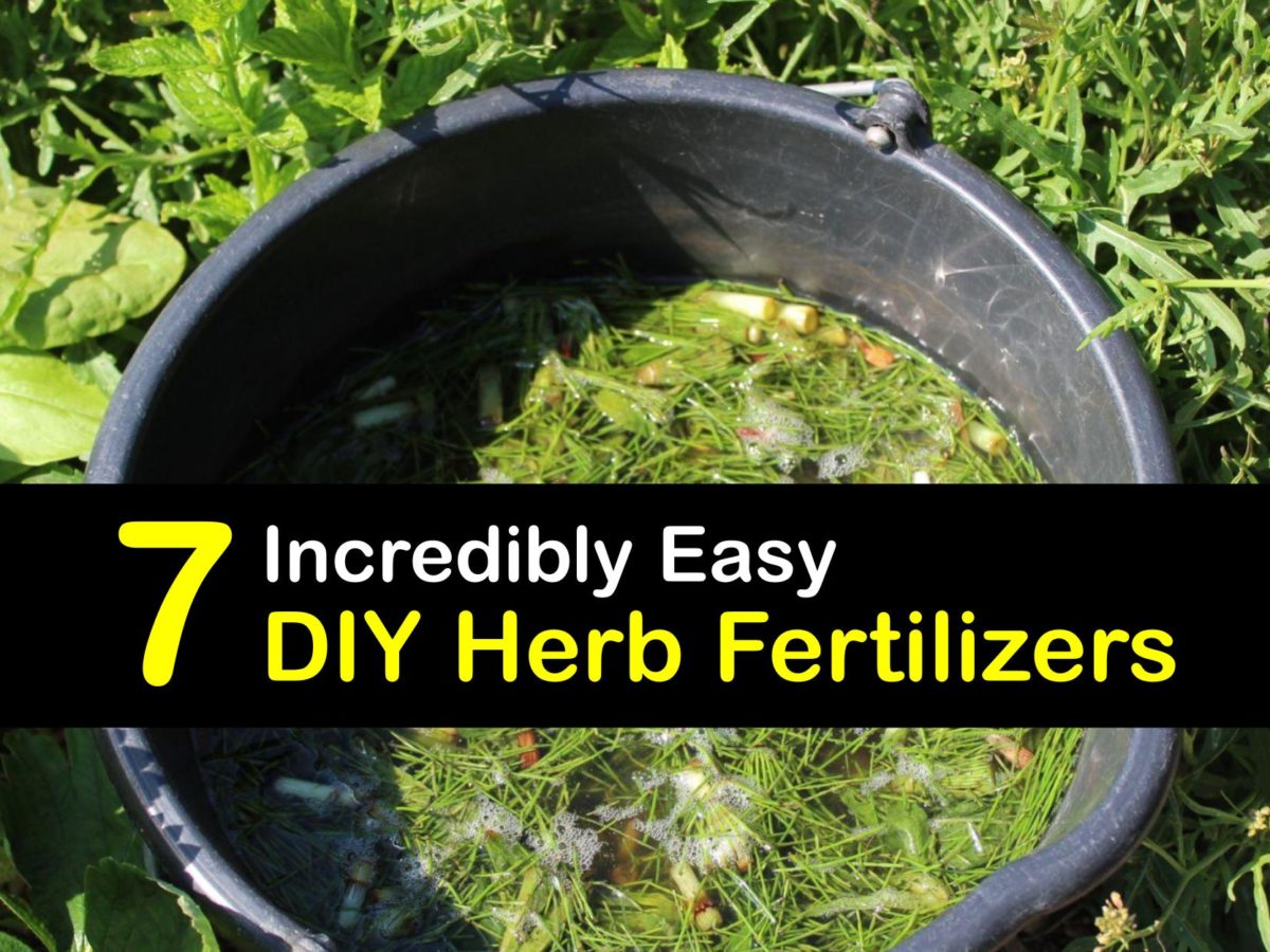 homemade-grass-fertilizer-recipe-dandk-organizer