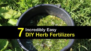Homemade Fertilizer for Herbs titleimg1