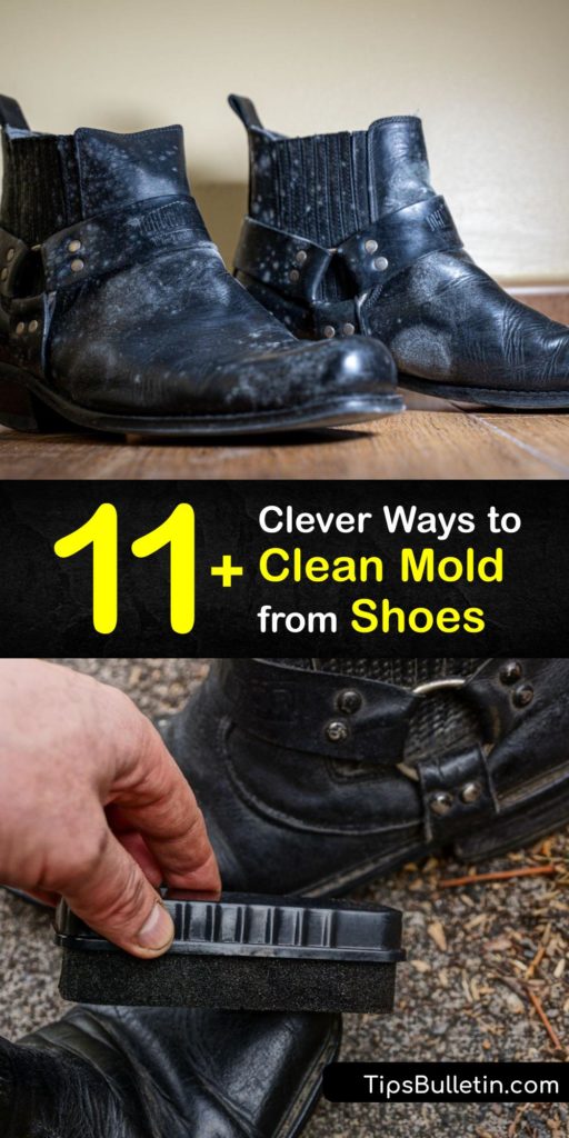 Discover unique ways to restore the condition of your shoes by removing mold and mildew using household items. Petroleum jelly, baking soda, and chlorine bleach are useful in cleaning mold from your shoes and even your favorite leather bag. #mold #shoes #cleaning