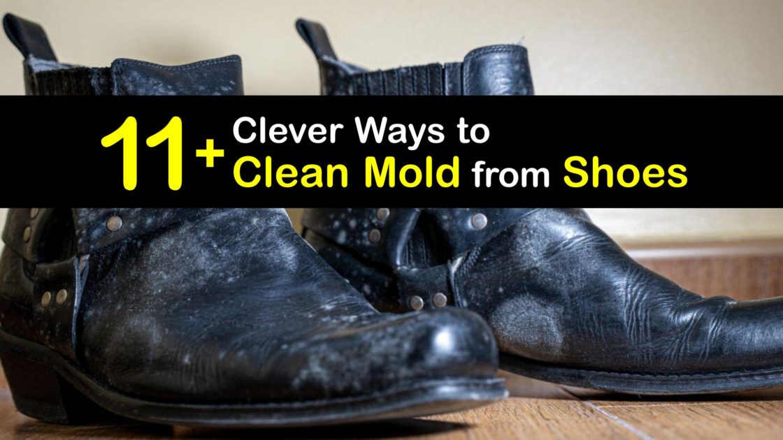 Cleaning Moldy Shoes - Easy Guide to Remove Mold From Shoes