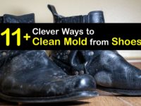 How to Clean Mold Off Shoes titleimg1