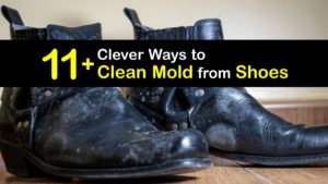 How to Clean Mold Off Shoes titleimg1