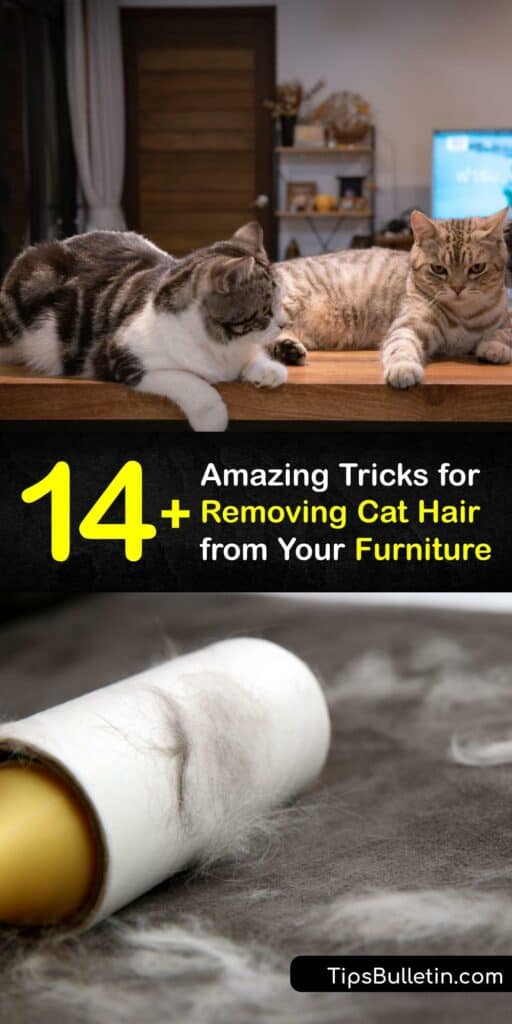 Furry Furniture Problems - Tricks for Getting Cat Hair Off Furniture