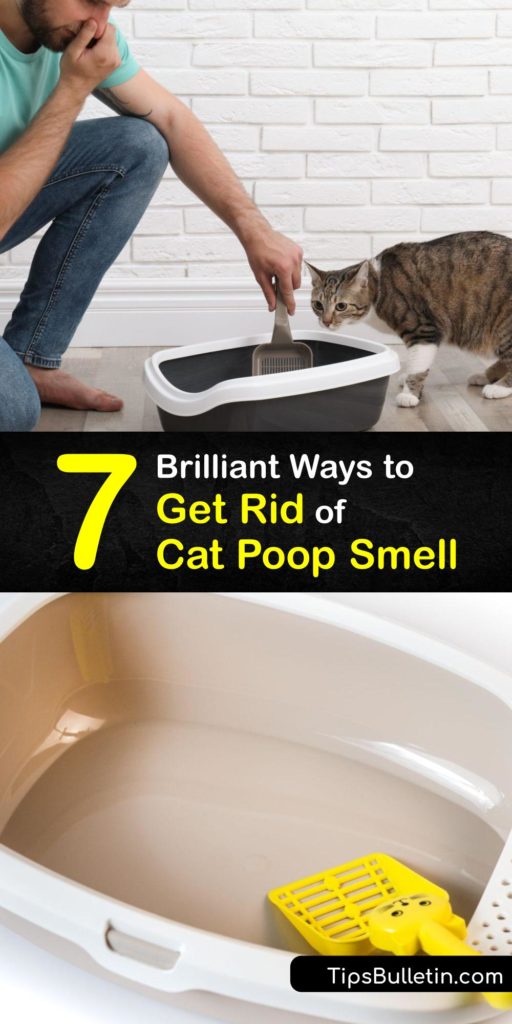 Learn how to freshen your home to remove cat pee and poop smells. Cat odor is unpleasant, and it travels throughout the entire house. Fortunately, it’s easy to eliminate a cat urine or feces smell by refreshing the cat litter with clay litter and using an odor remover. #getridof #cat #poop #smell