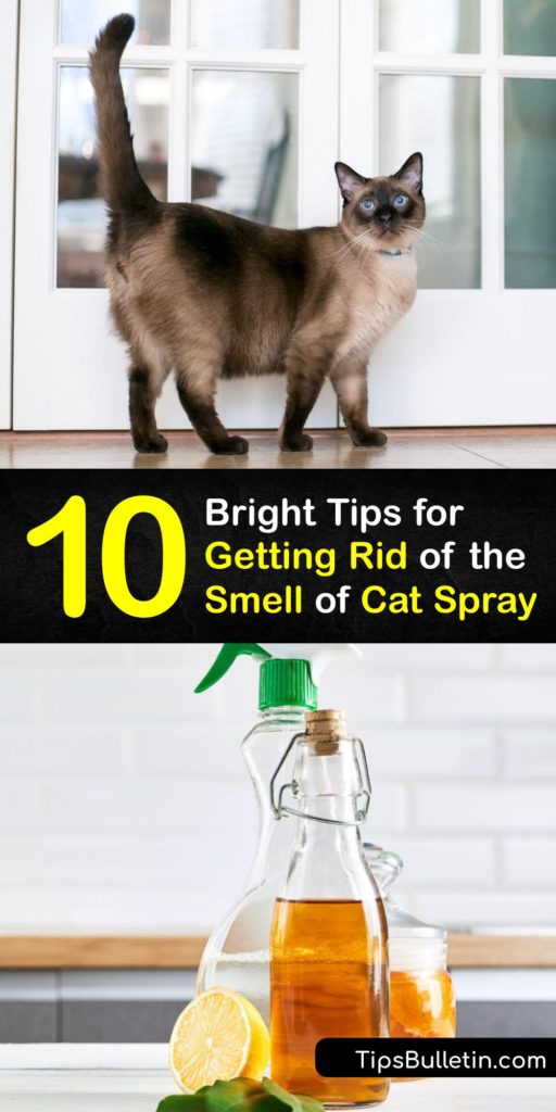 Cat spray smell sale